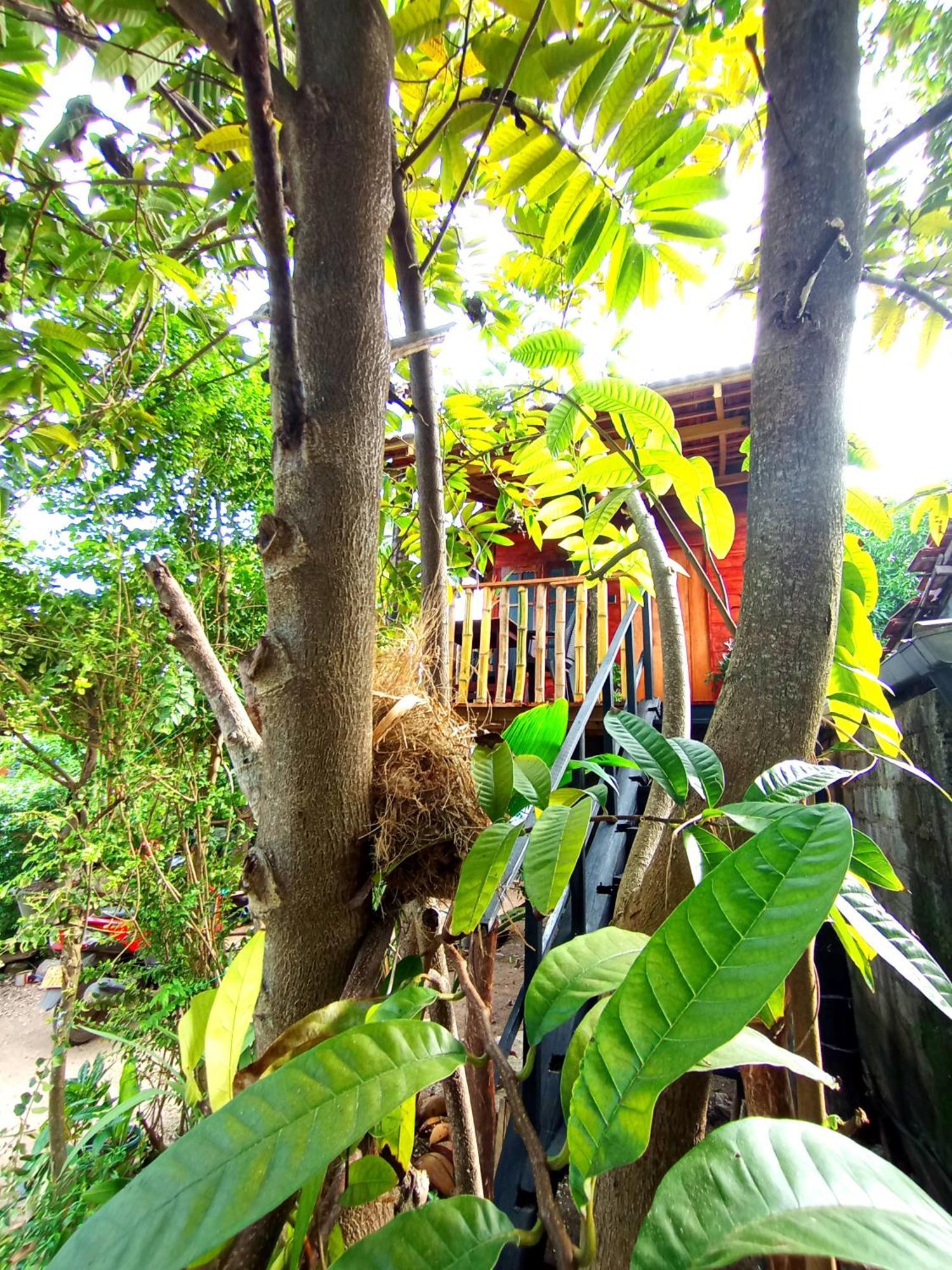 Parrot Tree House Villa Mirissa Bagian luar foto
