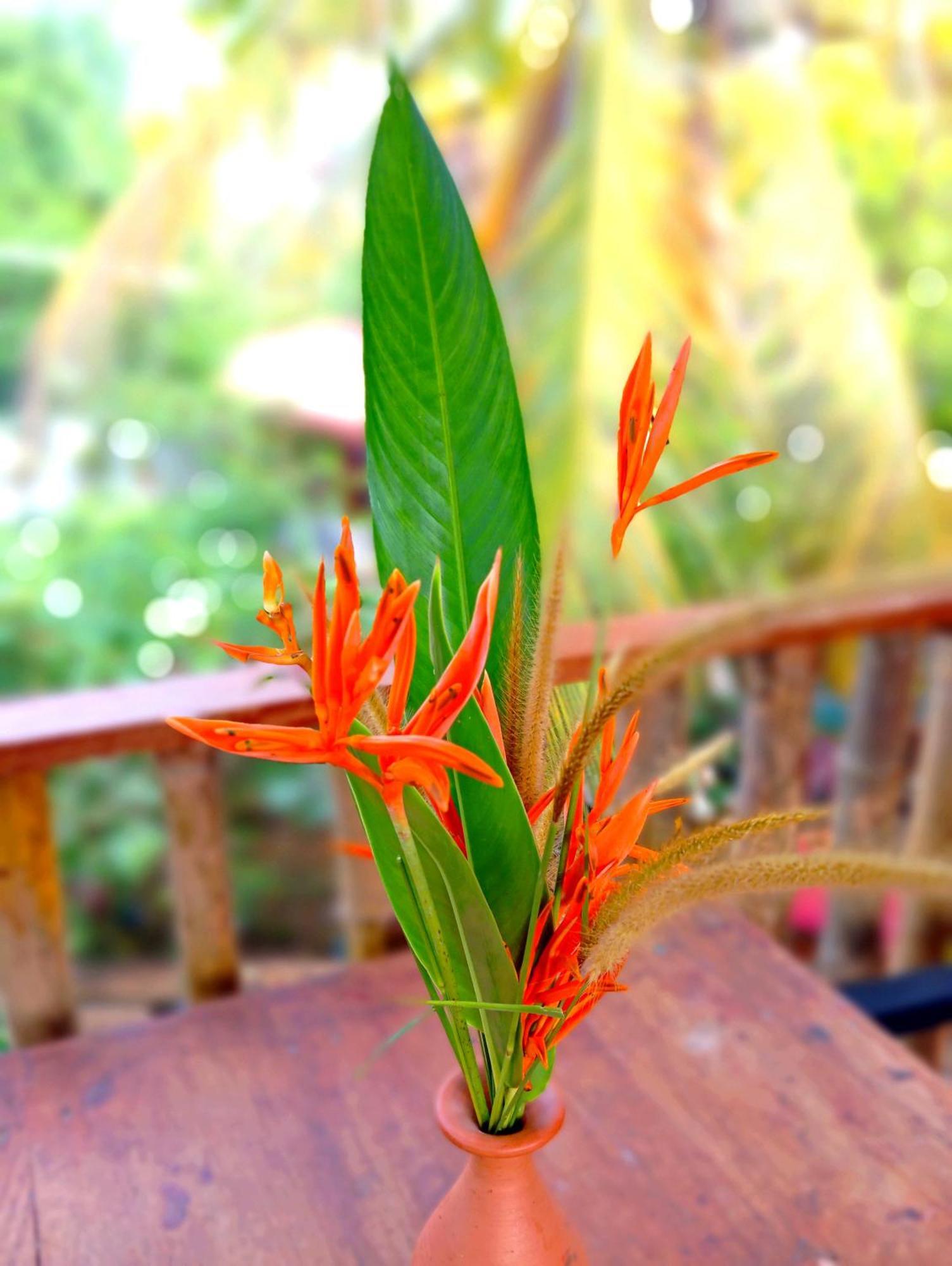 Parrot Tree House Villa Mirissa Bagian luar foto