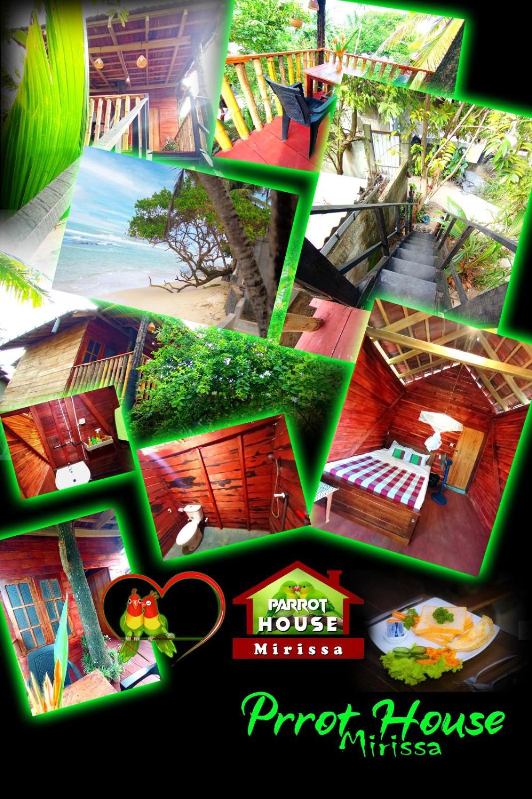 Parrot Tree House Villa Mirissa Bagian luar foto